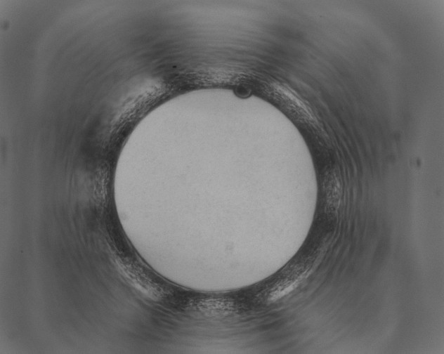 X0000087310546200705180948