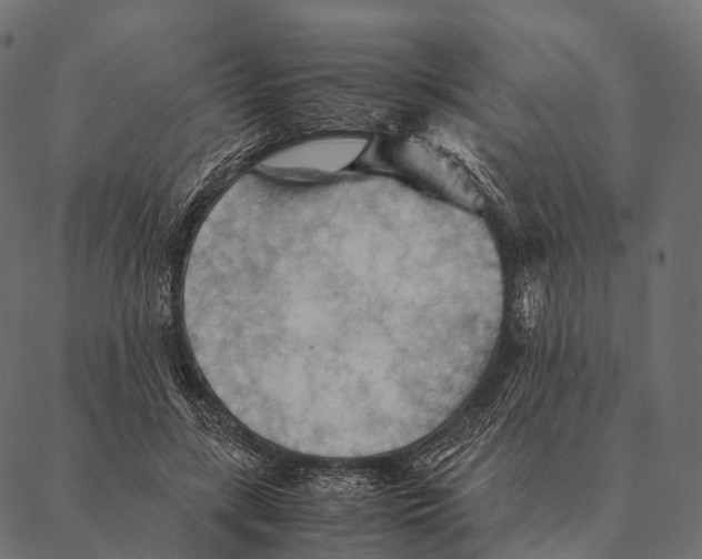 X0000087310547200705180948