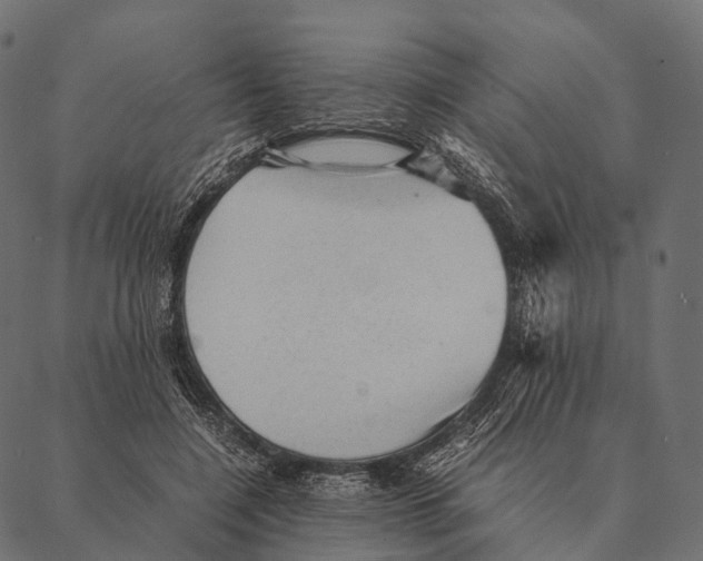 X0000087310548200705180948