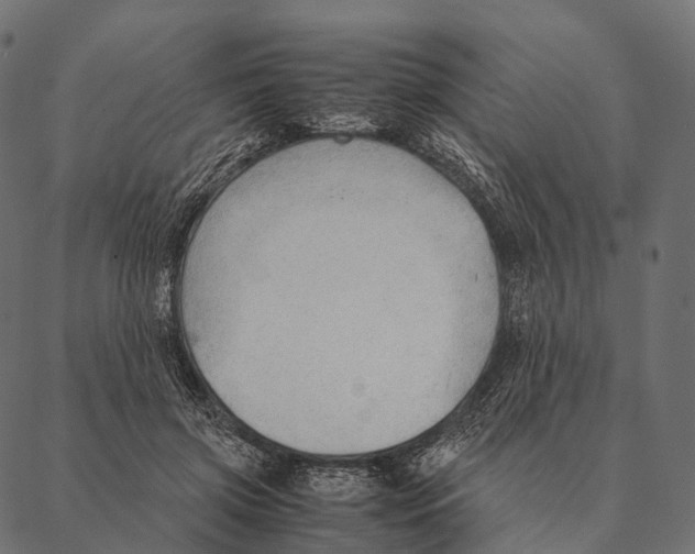 X0000087310549200705180948