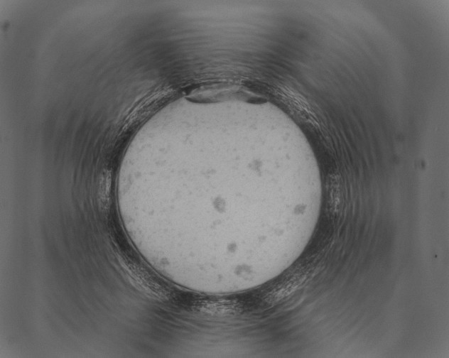 X0000087310550200705180948