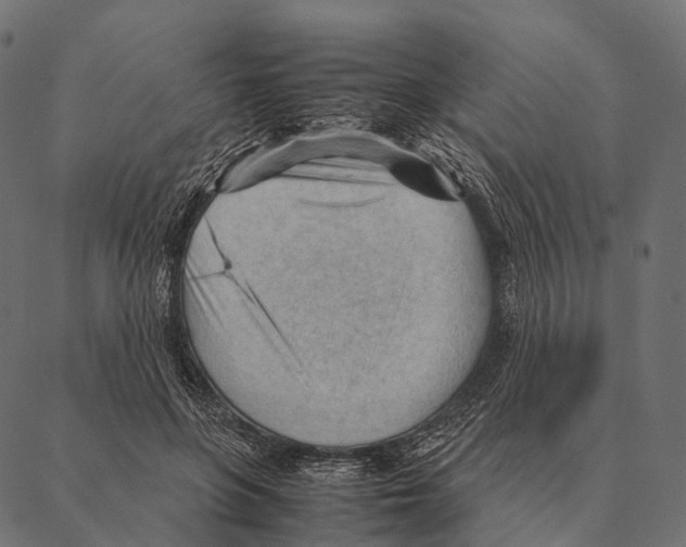 X0000087310551200705180948