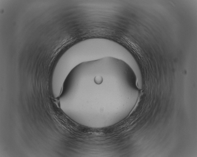 X0000087310552200705180948