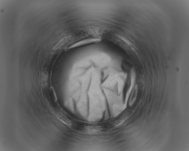 X0000087310556200705180949