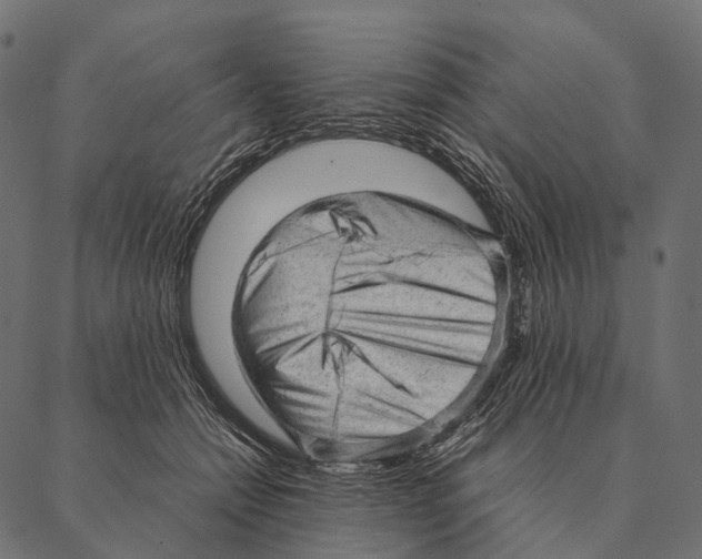 X0000087310558200705180949