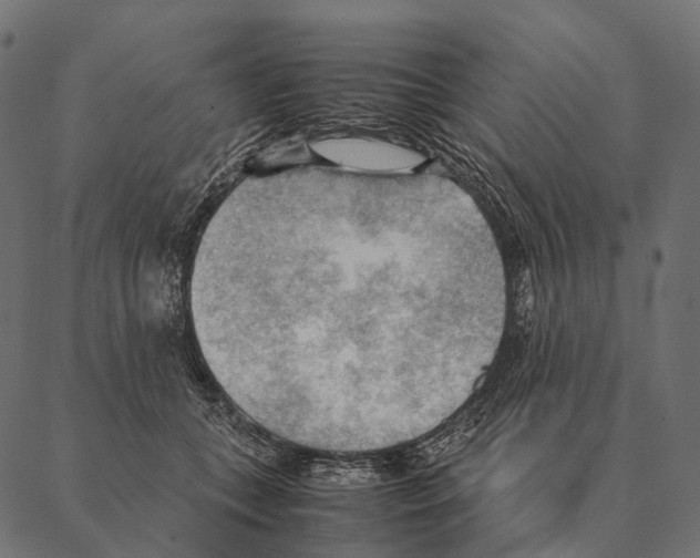 X0000087310559200705180949