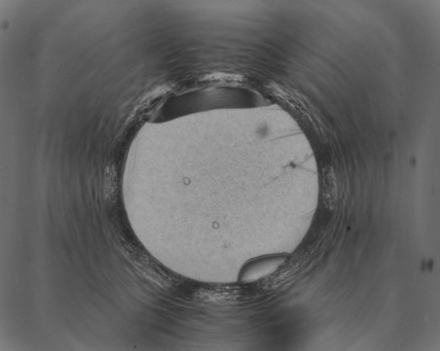 X0000087310563200705180949