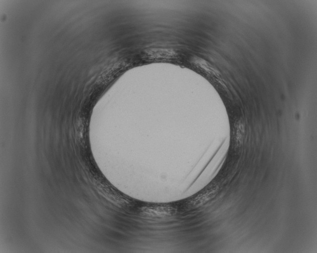 X0000087310567200705180949