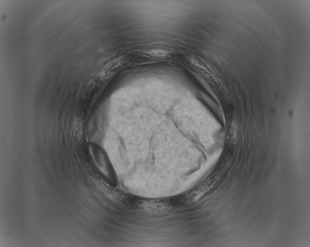 X0000087310568200705180949