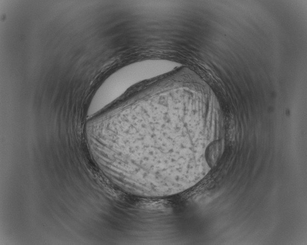 X0000087310569200705180949