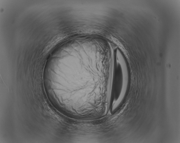 X0000087310577200705180948