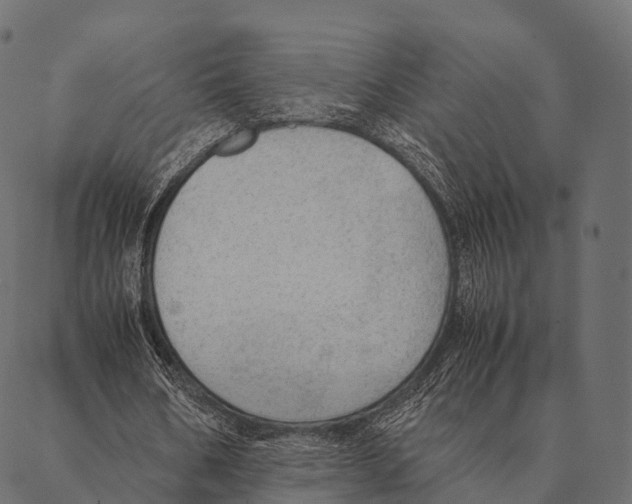 X0000087310578200705180948