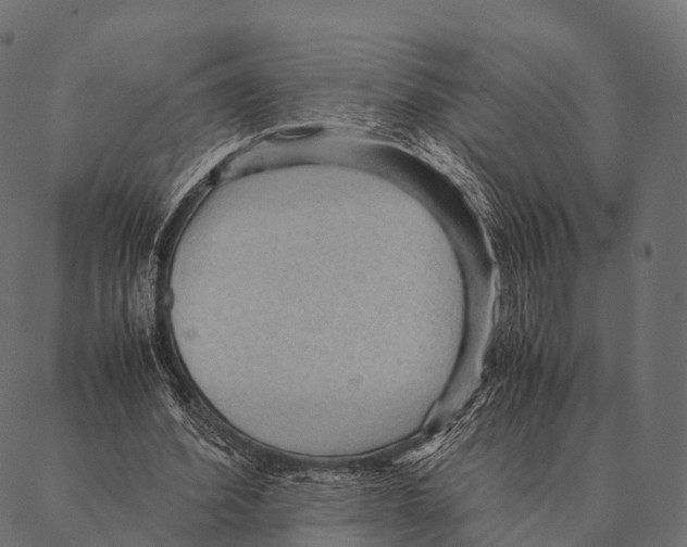 X0000087310580200705180948