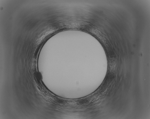 X0000087310583200705180948