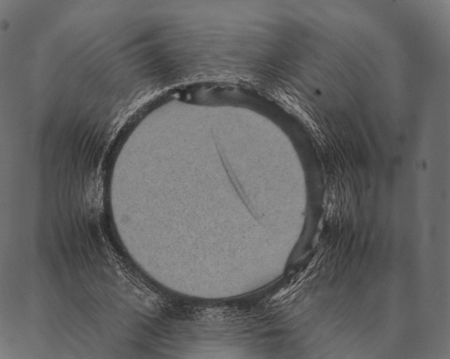 X0000087310584200705180948