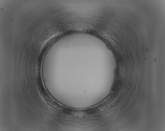 X0000087310587200705180948