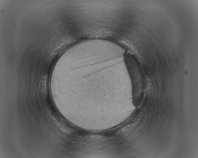 X0000087310590200705180948