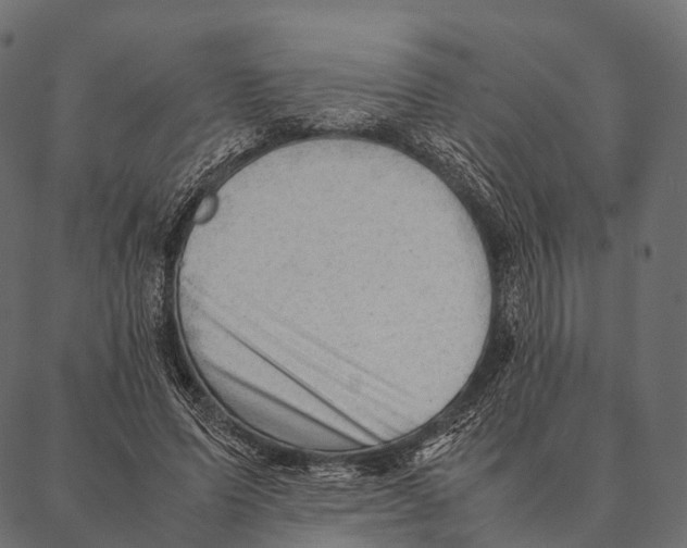 X0000087310591200705180948