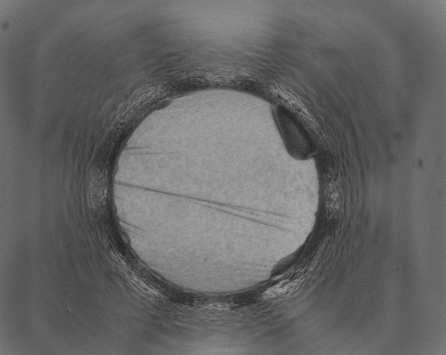 X0000087310593200705180948