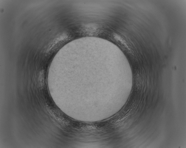 X0000087310594200705180948