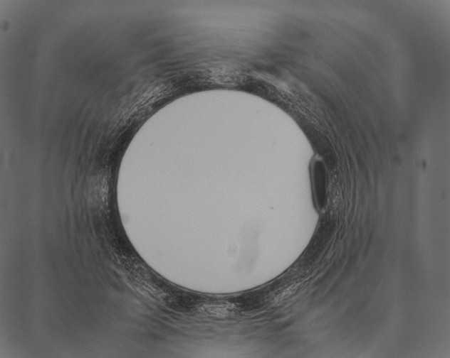 X0000087310595200705180948