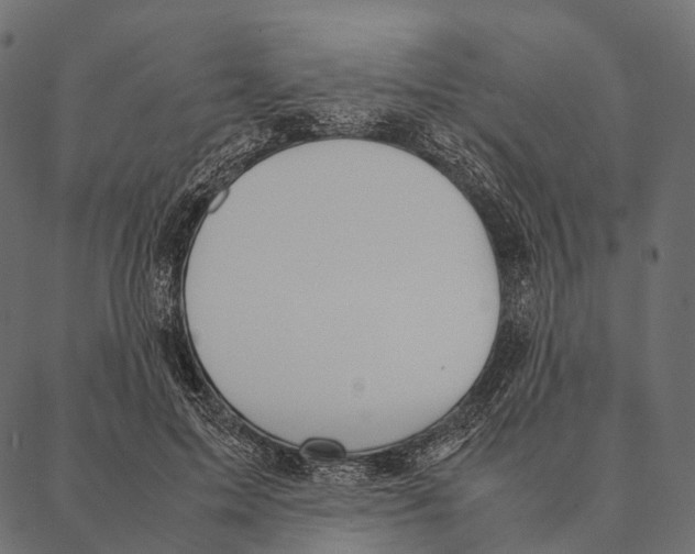 X0000087310599200705180948