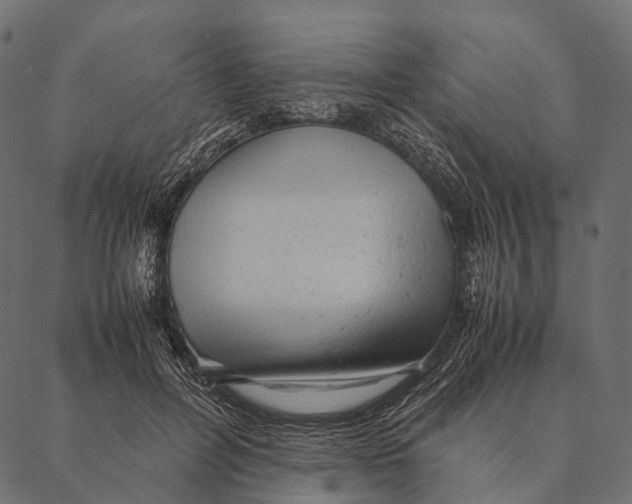 X0000087310600200705180948