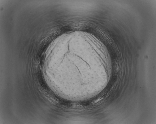 X0000087310601200705180948