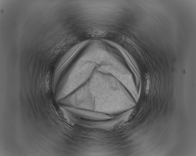 X0000087310604200705180948