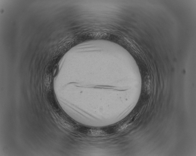 X0000087310605200705180948