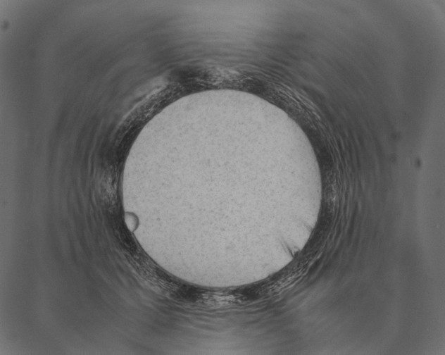 X0000087310607200705180948