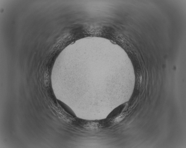 X0000087310609200705180948