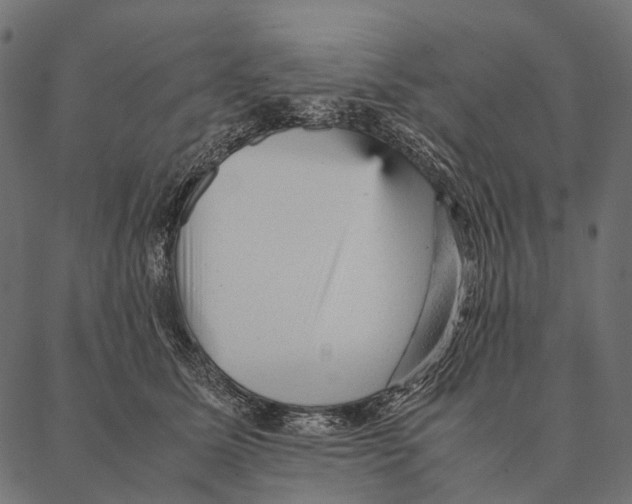 X0000087310611200705180948