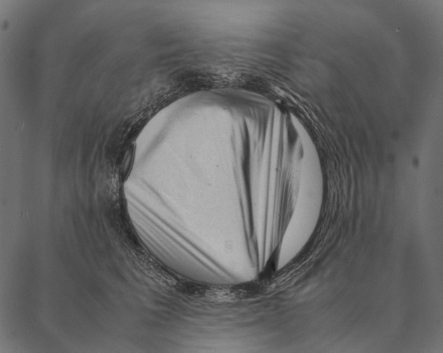 X0000087310613200705180947