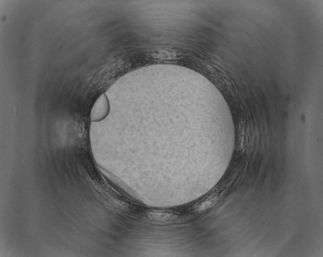 X0000087310614200705180947