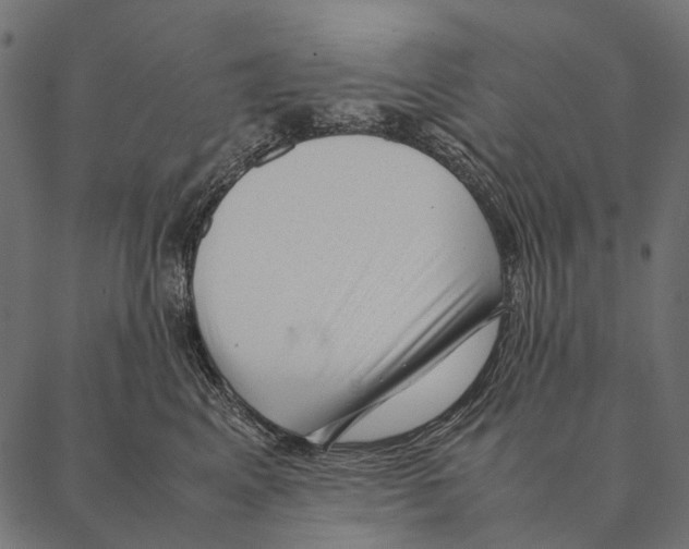 X0000087310617200705180947