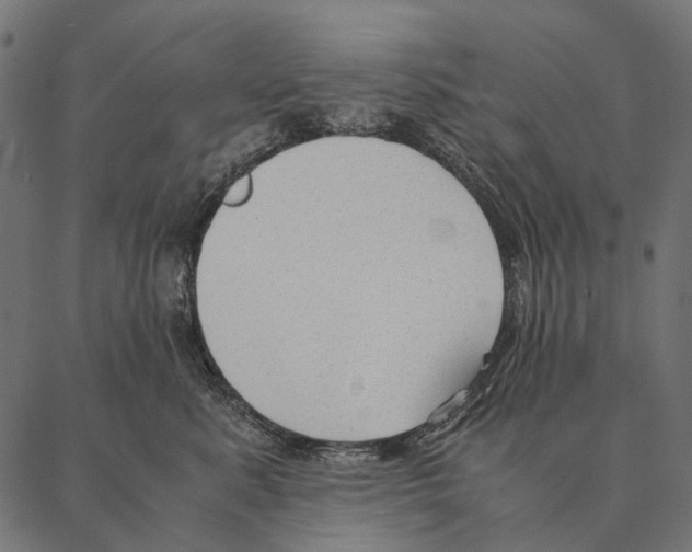 X0000087310619200705180947