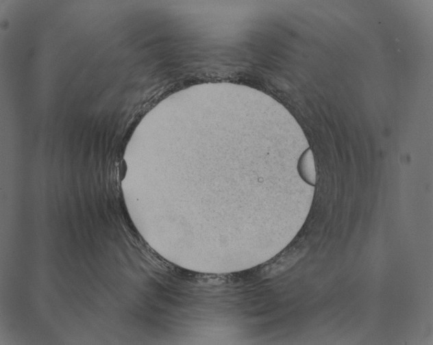 X0000087310624200705180947