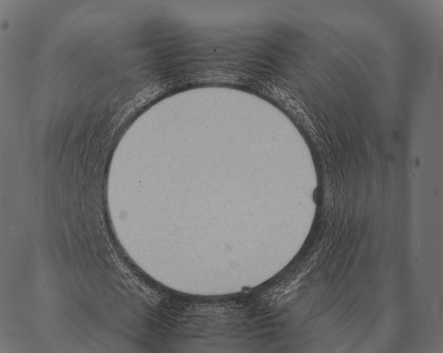 X0000087310625200705180947