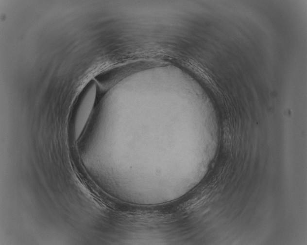 X0000087310626200705180947