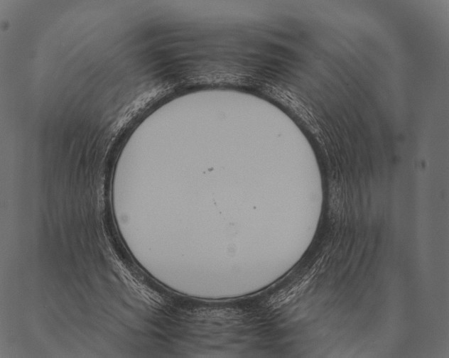 X0000087310629200705180947