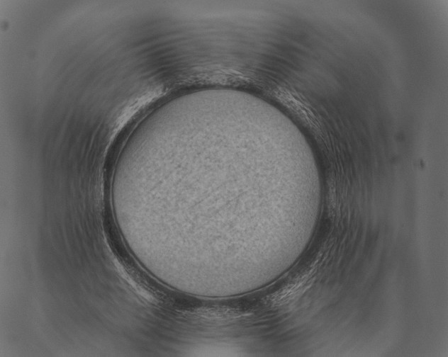 X0000087310630200705180947