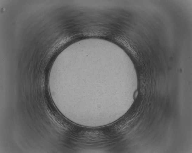 X0000087310631200705180947