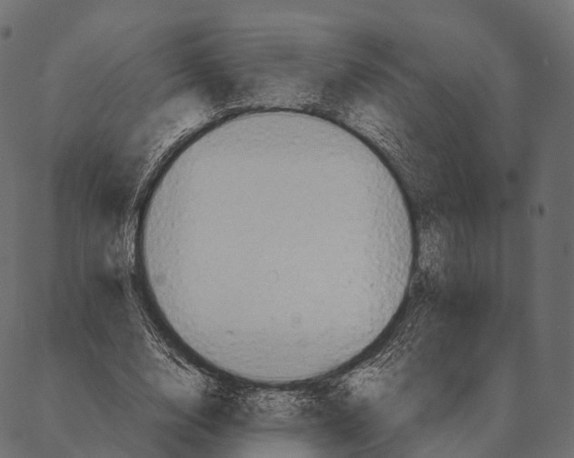 X0000087310632200705180947