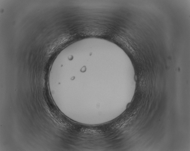 X0000087310635200705180947