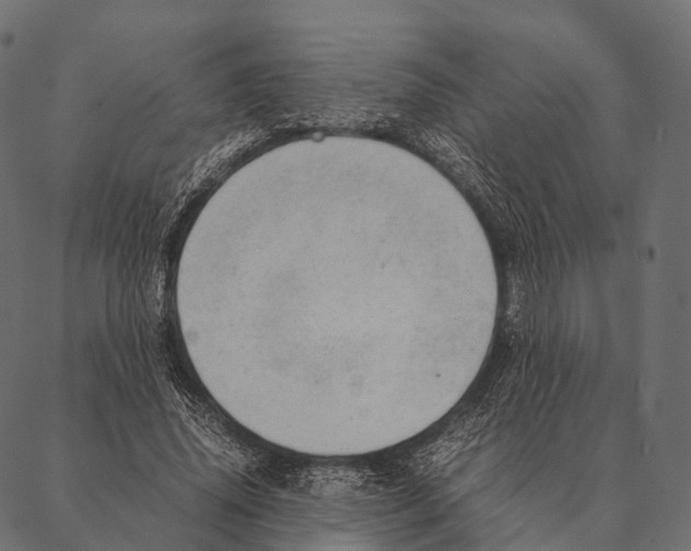 X0000087310636200705180947