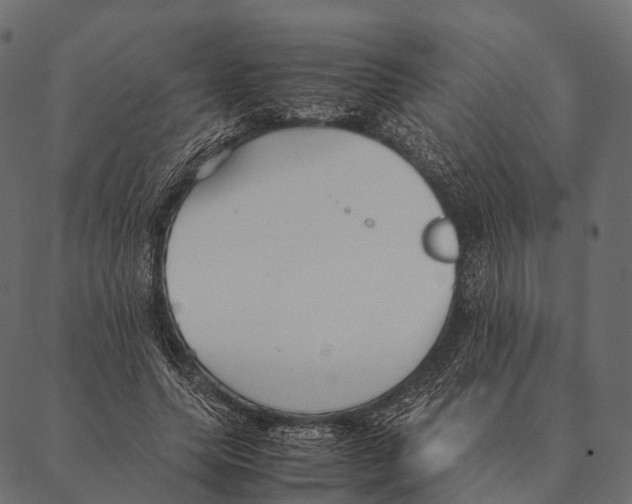 X0000087310639200705180947