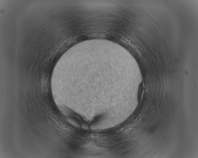 X0000087310641200705180947