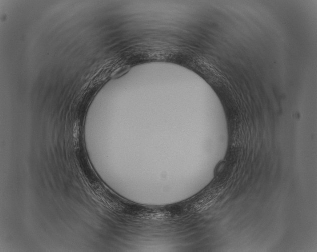 X0000087310646200705180947