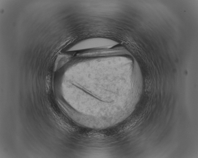 X0000087310648200705180947